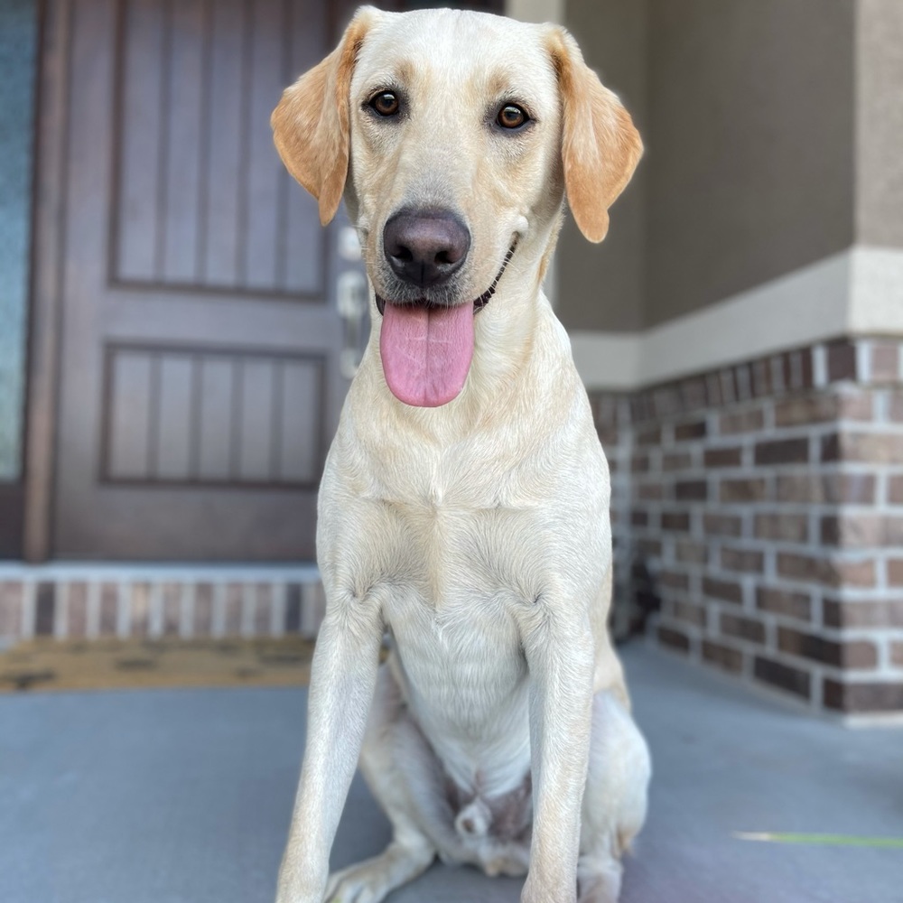 Meet your Posher, Kirsten